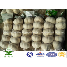 5p 200gram Samll Emballage Ail blanc pur